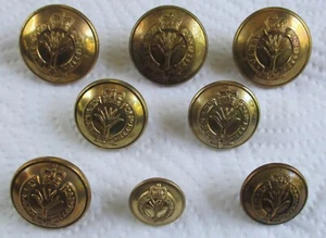 8x British Army:"WELSH GUARDS BRASS BUTTONS" (Assorted Sizes, QC, 1950s Period) - Picture 1 of 4