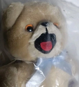 Peluche ammorbidente tessuto coccolone orso peluche russo coreano alto 6 3/4” NUOVO - Foto 1 di 7