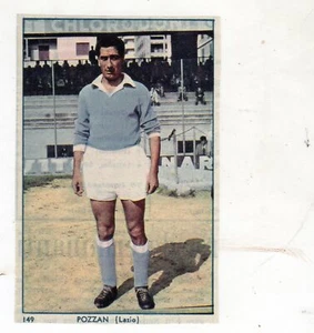 FIGURINA CALCIATORI da ritaglio LAZIO POZZAN NR 149 album s.e.s.s.1959-60 - Picture 1 of 1
