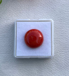 12mm Natural Red Coral Round Cabochon-Italian Red Coral Round Cabochon