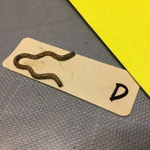 Linkage clip, NOS. Item: 5991 - Bild 1 von 1