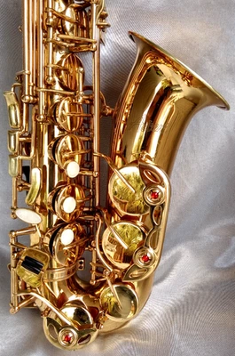 ACCENT AS710L Gold Alto Sax w/Nice ACCENT Case & Glory Mpc.- READY FOR PLAY - Image 1 of 4