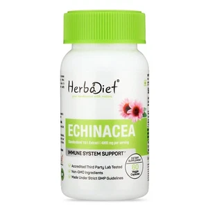 Echinacea Root Extract Capsules Powerful Herbal Immunity Support Antioxidant - Picture 1 of 5