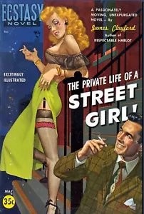 Póster de metal The Private Life of a Street Girl 1950 pulp ficción arte de portada NUEVO - Imagen 1 de 2