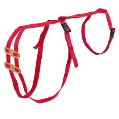 EWE TRUSS PROLAPSE HARNESS Sheep Lambing Strap Lamb Birth Birthing Aid Tool