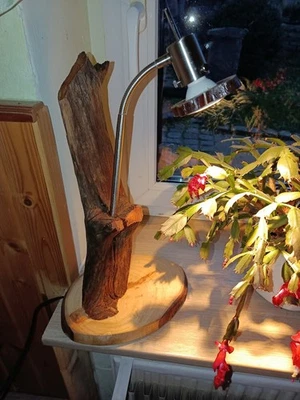 Treibholz Tischlampe,LED Leuchte,UNIKAT,Schreibtischlampe,Beistell-Leuchte-SPOT - Bild 1 von 4