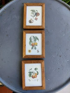 Quadretti piccoli con frutta, melograno, pera e pesca, cornice in legno [2) - Foto 1 di 7