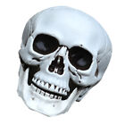  Simulation Skull Halloween Party Decor Horror Figurines Ornaments