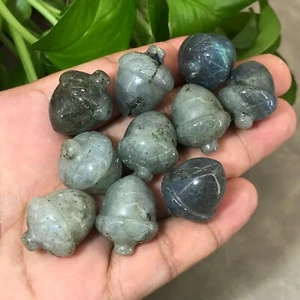 10pcs Natural labradorite acorn quartz crystal skull Reiki healing gems - Picture 1 of 12