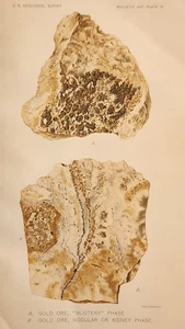 Dos impresiones muestras de mineral de oro Jarbidge Contact Elk Mnt Elko County Nevada 1912 - Imagen 1 de 6
