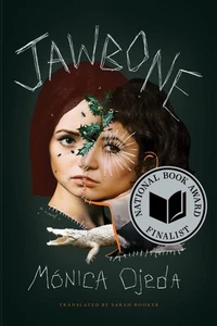 Jawbone - Picture 1 of 1