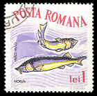 Scott # 1641 - 1964 - 'Fisch, Constanta Aquarium, Beluga'