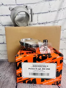 Husky FC 250 Kit Cilindro/Pistón 2023-2024 - Imagen 1 de 1