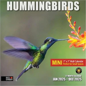 RED EMBER Hummingbirds Mini 2025 Wall Calendar 12 New 2025, 03 - - Picture 1 of 6