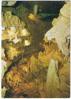 Vintage Business Card Diamond Caverns Hanging Gardens Of Babylon 2.5" x 3.5" - Image 1 of 2