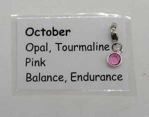 Made with Swarovski Crystal Birthstone Channel Charm; October, Silver Plated - Picture 1 of 3