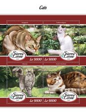 Cats Singapura Turkish Angora Siberian MNH Stamps 2018 Sierra Leone M/S