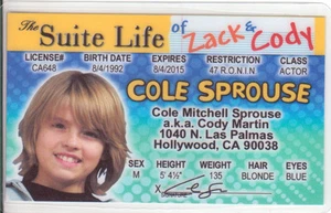 Cole Sprouse the Suite Life of Zack and Cody collectors card Drivers License - Picture 1 of 1