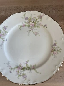 Homer Laughlin. G47N6. Made In USA. Dinner Plates 10”. Vintage EUC.Set Of 2 - Picture 1 of 8