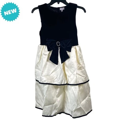 Blueberi Boulevard Dress Girls Size 16 Taffeta Tulle Skirt with Velvet Bodice - Image 1 of 4