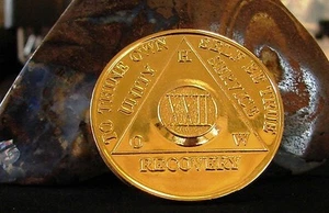 Alcoholics Anonymous 24K Gold Plated 22 Year HOW OLD STYLE Medallion Chip Coin - Picture 1 of 2