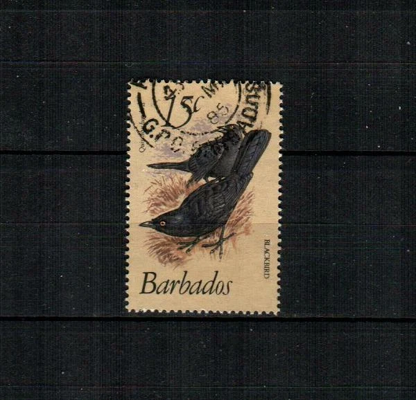 巴巴多斯·斯科特 570 ( 1v ) 黑鸟 F/VF 二手 ( 1982 )  — 第 1/1 张图片