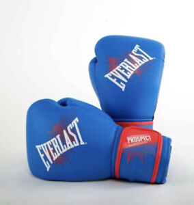 Everlast Blue Boxing Gloves 8oz