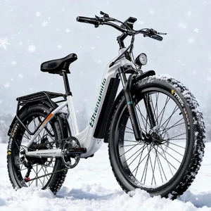 Bicicleta eléctrica 48V 17.5AH City ebike 25km/h E-Mountainbike mujer/hombre e-bike - Imagen 1 de 24