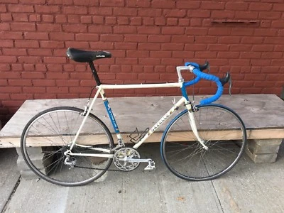 Gazelle Champion Mondial A-frame 58cm / Shimano Set Up - Image 1 of 4