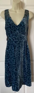 Anthropologie Moulinette Soeurs Floral Velvet Matilija Dress Whimsy Boho Sz 4 - Picture 1 of 9