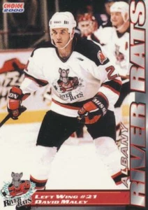 1999-00 Albany River Rats Team Issue # DAVID MALEY - Bild 1 von 1