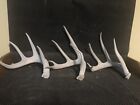 3 Great Weathered Wild Whitetail Deer Rack Shed Antler Taxidermy Yard Art Decor