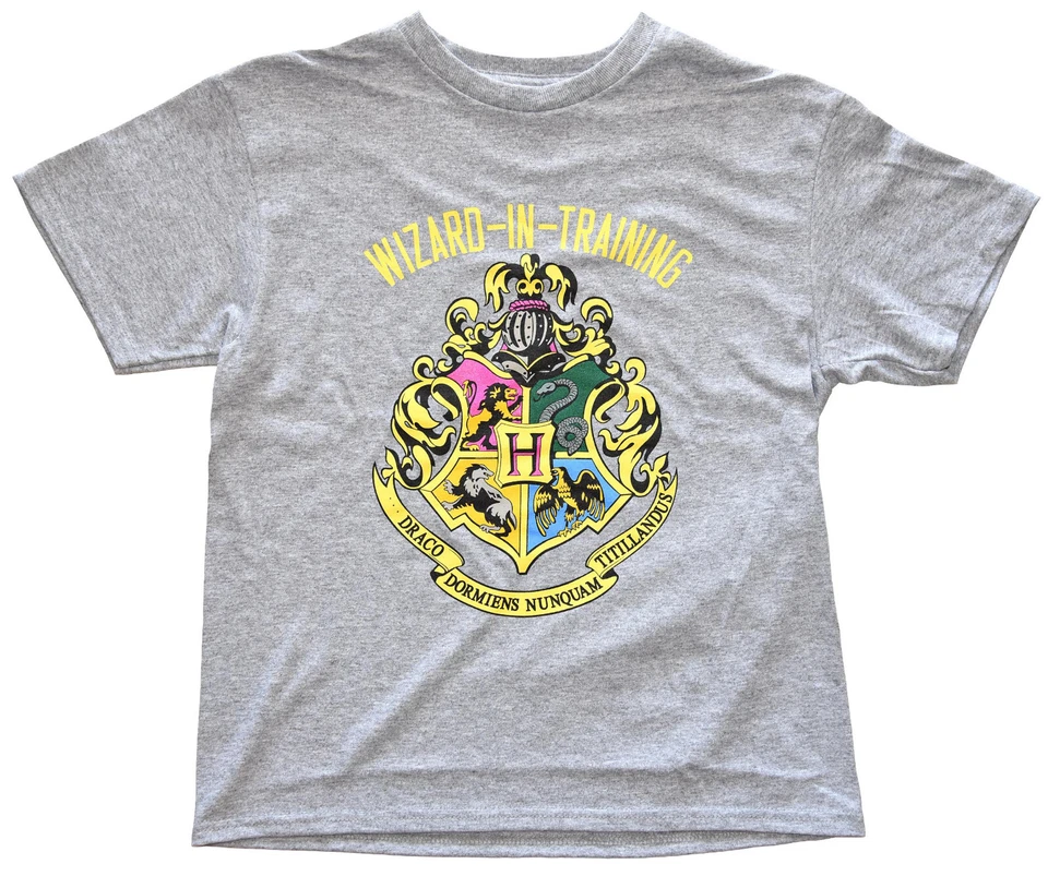 Harry Potter Wizard in Training Youth Boys Grey Heather T-shirt New - Image 1 of 1
