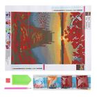 DIY Painting Kit Hand‑made Paintings Pictures Craft Living Ro 4795 SD
