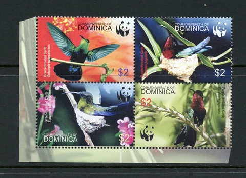 Y473   Dominica  2005   birds   block    MNH Cover
