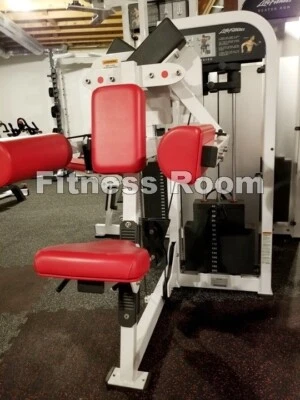 Elevación lateral comercial Life Fitness Pro serie 2 - ENVÍO NO INCLUIDO Foto 1 de 4