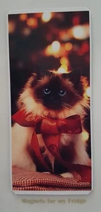 CHRISTMAS CAT / KITTEN FRIDGE MAGNET - M484 - Imagen 1 de 1