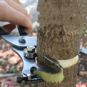 Alicates para pelar anillos herramienta de faja de azufaifo cuchillo para pelar abridor de uñas - Imagen 1 de 18