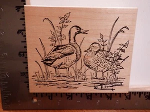 NORTHWOODS DUCKS WATER PLANTS WOOD RUBBER STAMP EUC L4896 - Picture 1 of 2