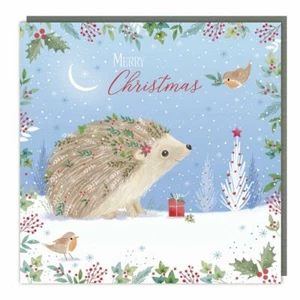 Charity Christmas Cards Happy Hedgehog Sparkle Finish - Pack 5 - Picture 1 of 1