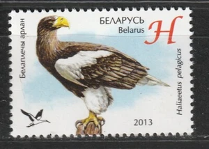 BIELORUSSIE 2013 - RAPACES - Aigle de mer de Steller (Haliaeetus pelagicu) - MNH - Imagen 1 de 1