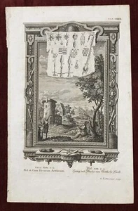 Scheuchzer Physica Sacra Tab 541 Print Kupfer Bibel Bible Print - Picture 1 of 1