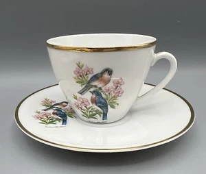 Vintage Tea Cup & Saucer Bareuther Waldsassen Bavaria Germany Blue Bird Gold Rim - Picture 1 of 9