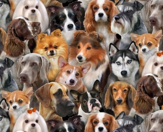 Animal Fabric - Dog Breeds Packed 1314 - Elizabeth's Studio YARD - Image 1 of 1