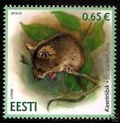 2016 Estland Eesti Nordische Birkenmaus Fauna Nagetiere Waldbewohner Mouse Mnh