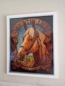 Estampado de caballo Country Life in The Paddock 1898 en marco blanco 55cmx45cm. Ex Shop - Imagen 1 de 6