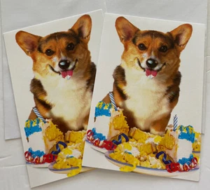 Set Of 2 Corgi Birthday Cards Pembroke Welsh New Greeting Cards - Picture 1 of 3