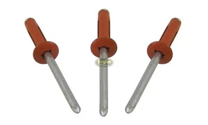 Remaches de cabeza pequeña en explosión naranja remaches pop 250ct 3/16" sujetadores triple IMCA - Imagen 1 de 7