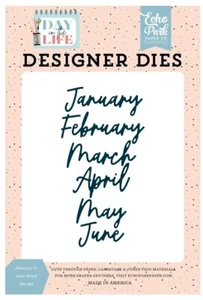 Echo Park Paper DAY IN THE LIFE January to June Word Die Set (DL260045) - Picture 1 of 1