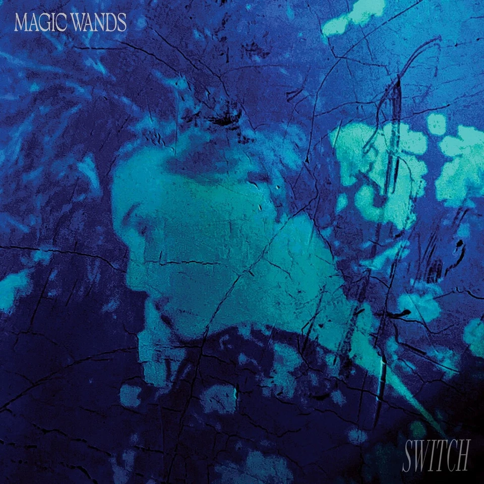MAGIC WANDS Switch CD 2023 - Bild 1 von 1